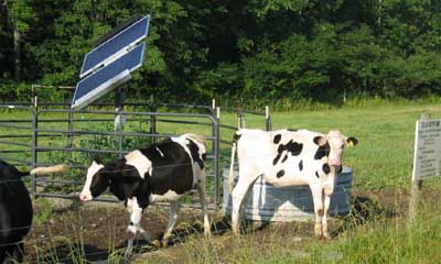 Off-grid tracking array in remote field